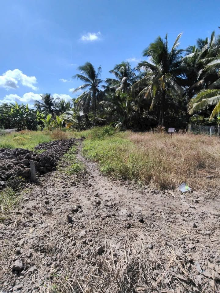 Đất nền thổ cư 90.2m² tại Xã Song Phú, chỉ 220 triệu - Cơ hội đầu tư hấp dẫn!