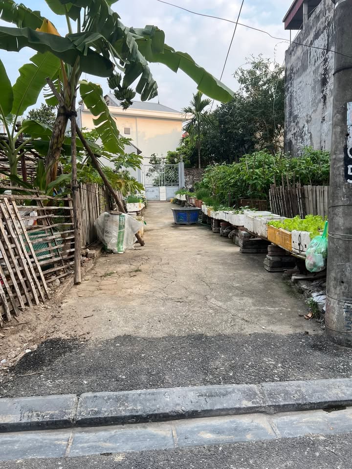 Đất nền 50m² tại Xã Phúc Thịnh chỉ 3 tỷ - Cơ hội đầu tư tuyệt vời!