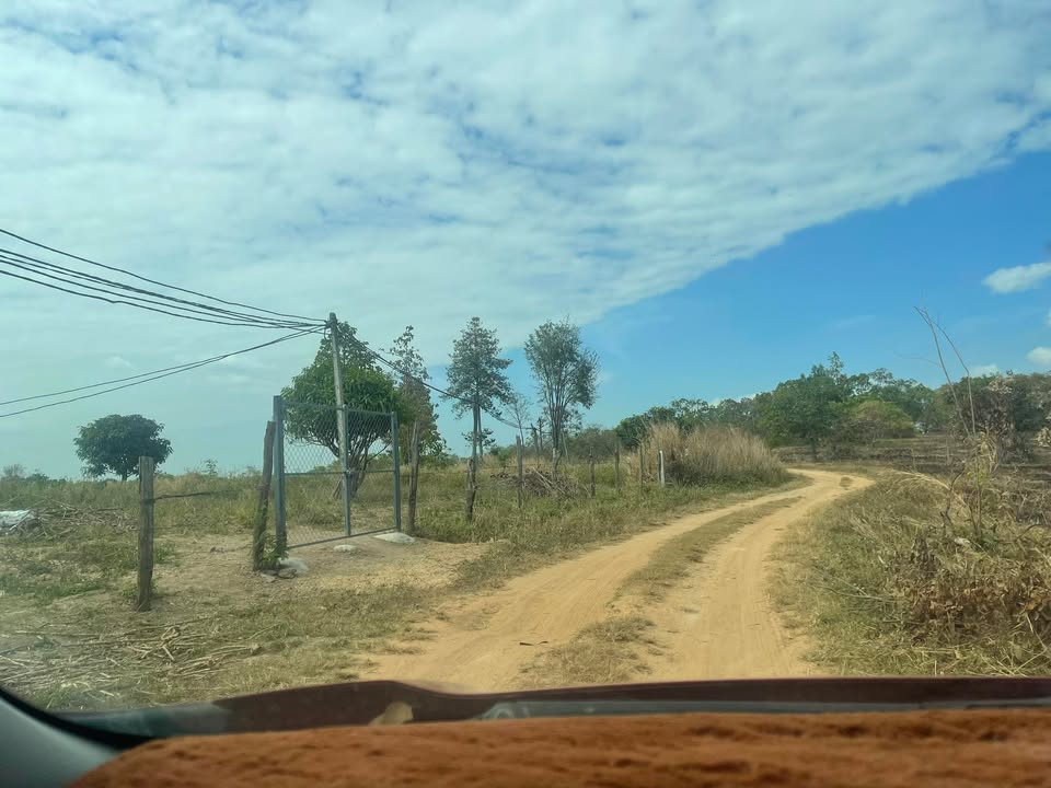 Đất nền 2 sào Tân Hoà, Buôn Đôn giá chỉ 169 triệu - Ô tô tận nơi!