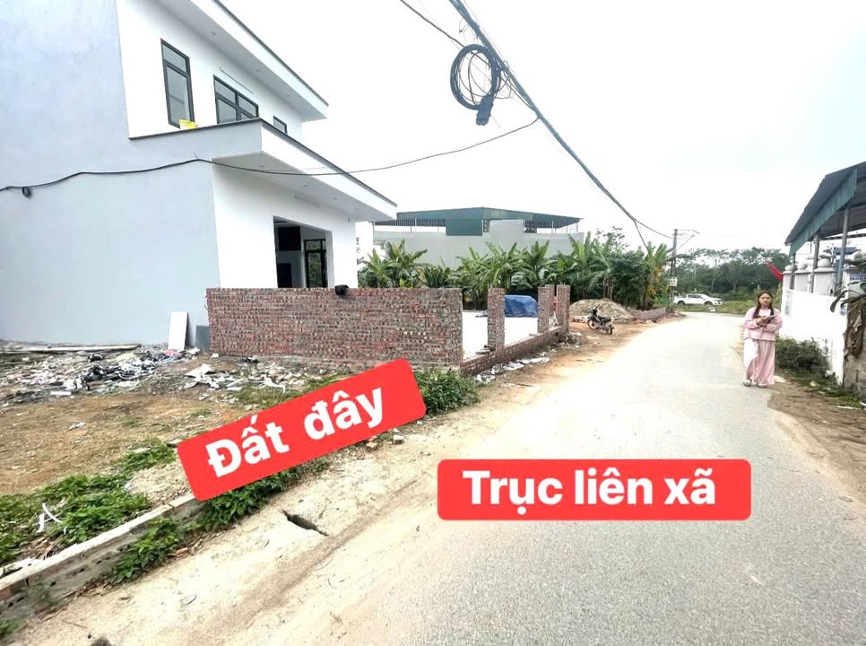 Đất thổ cư 120m² tại Tam Quan, Tam Đảo chỉ 1.1 tỷ - Đường rộng ô tô tránh nhau!
