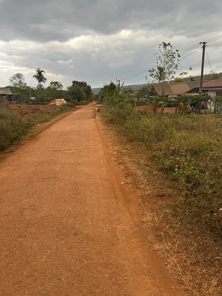 Đất nền Cư Né, Krông Búk 1050m² giá 1.05 tỷ - Đầu tư sinh lời ngay!