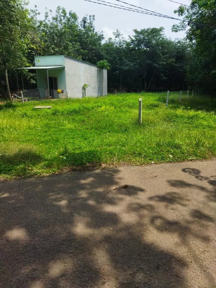 Đất nền Xã Tân Thành, TP Đồng Xoài 273m² giá 800 triệu - Cơ hội đầu tư hấp dẫn!