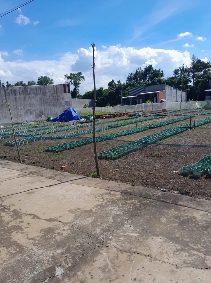 Đất ở Bảo Vinh, Long Khánh 300m² giá 440 triệu - Cơ hội đầu tư tuyệt vời!