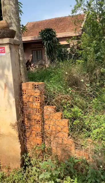 Đất thổ cư 300m² tại xã Đức Minh, Đắk Mil - Giá 1 tỷ, gần Trường Merry Curie