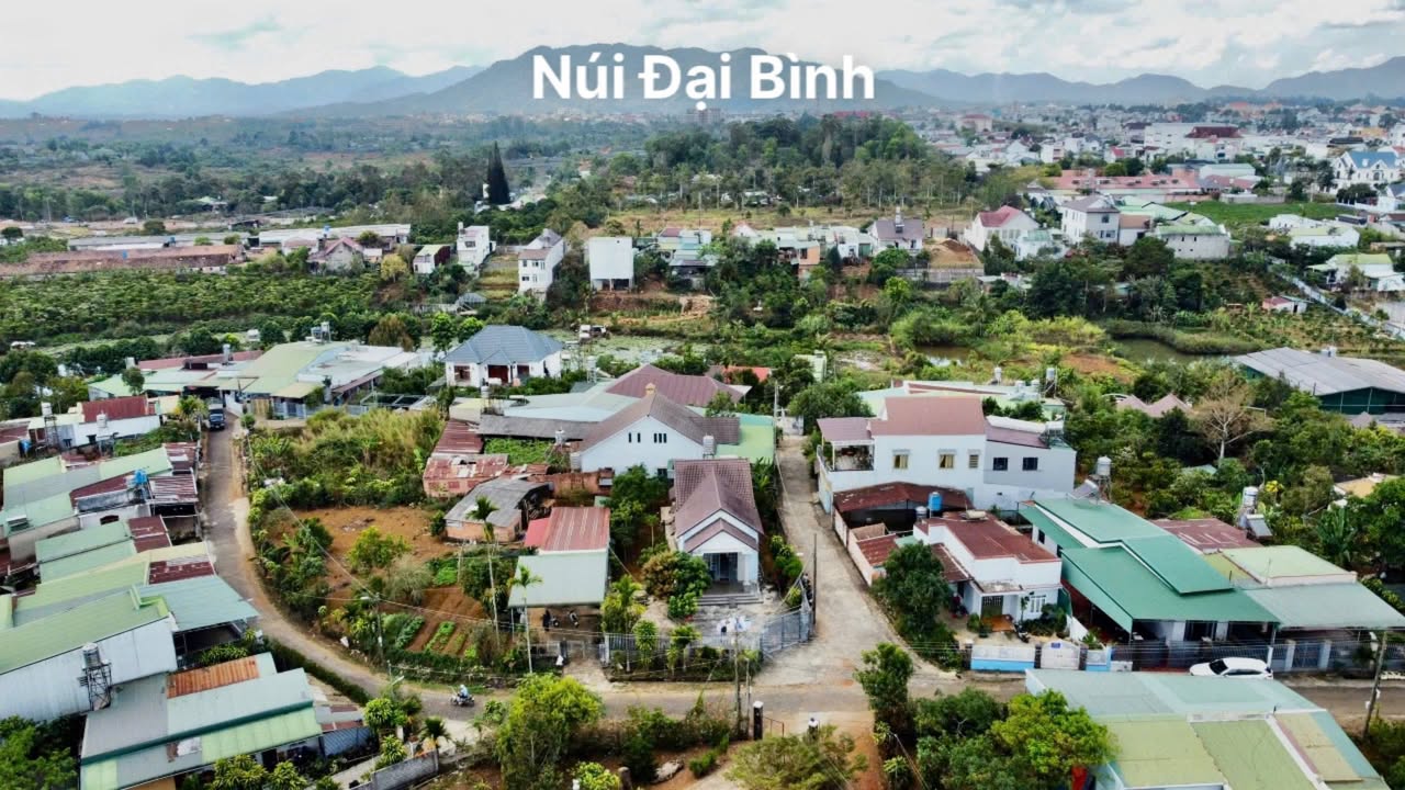 Farm nghỉ dưỡng Bùi Thị Xuân, Quận 1, 480m² giá 11 tỷ - Chỉ cần xách vali vào ở ngay!