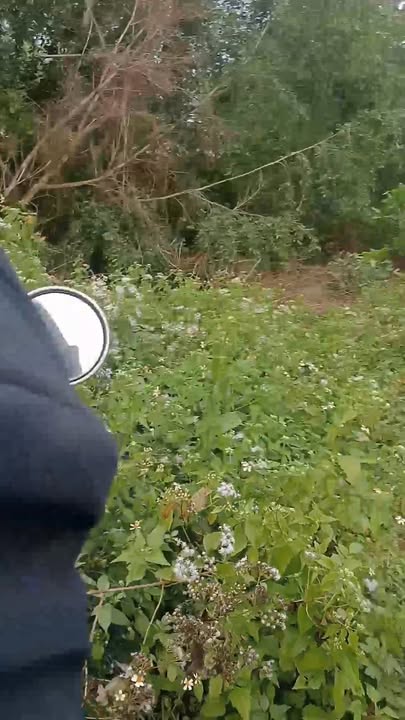 Đất nền mặt tiền Trần Hưng Đạo nối dài, xã Cát Hiệp, 333m² - Cơ hội đầu tư tuyệt vời!