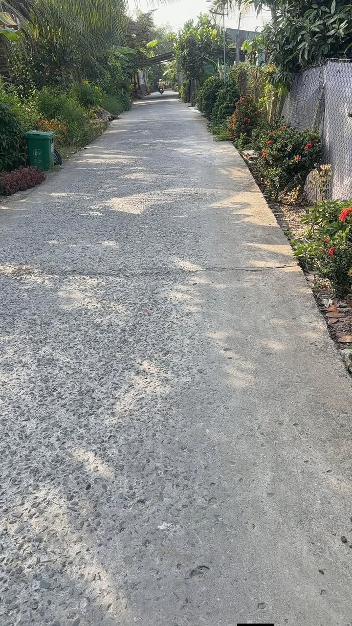 Đất nền ấp Láng Biển, xã Mỹ Phước Tây, 77.000m² giá chỉ 530 triệu - Tiềm năng đầu tư lớn!