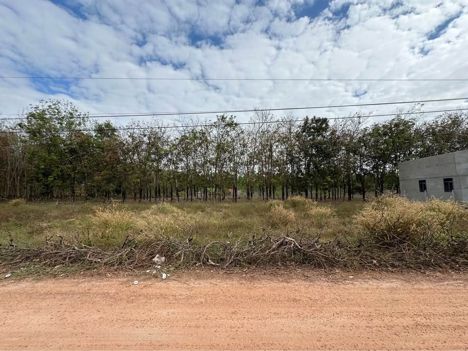 Đất nền 120m² Xã Tân Hội, Huyện Tân Châu - Full thổ cư, giá tốt!