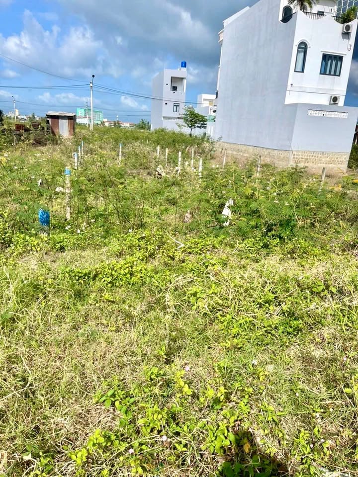 Đất nền khu phố Diêu Trì, thị trấn Diêu Trì, 112.5m² - Giá chỉ 1.4 tỷ!