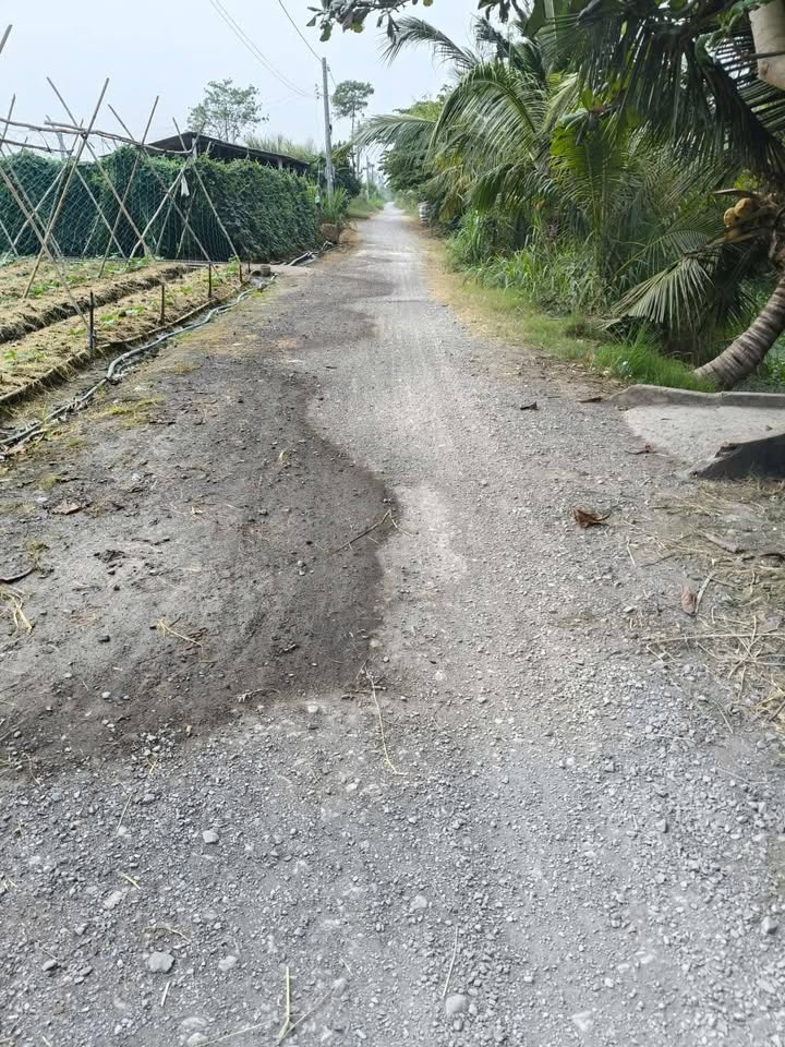 Đất trồng cây lâu năm 727,7m² tại Tân Hòa, Gò Công Đông - Giá 780 triệu, thương lượng chính chủ!