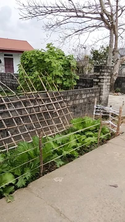 Đất nền Đồng Tâm, Yên Mô, 520m² - Sổ đỏ chính chủ, giá thỏa thuận!