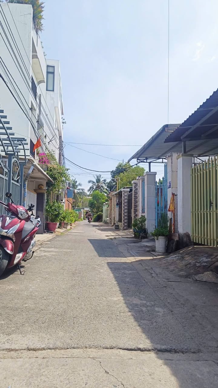 Đất thổ cư 353m² tại Phường Chánh Nghĩa, TP Thủ Dầu Một - Giá 5 tỷ - Đường ô tô rộng rãi!