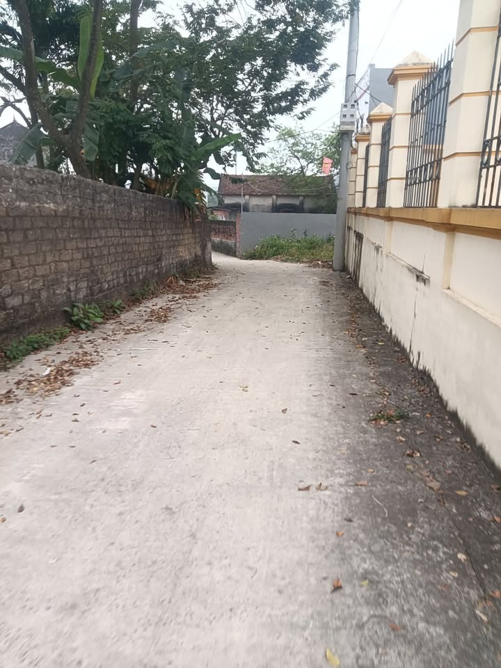 Đất nền Xã Lương Phong 115m² giá 900 triệu - Cơ hội đầu tư hiếm có!