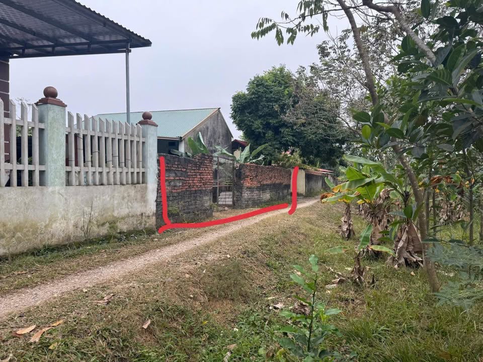 Đất thổ cư 391m² tại Thôn Ngò, Xã Song Vân, Tân Yên - Giá chỉ 1.2 tỷ!