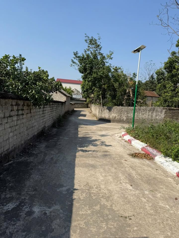 Lô đất TDP Phúc Thắng, huyện Hiệp Hòa 100m² giá 700 triệu - Đầu tư dễ dàng!