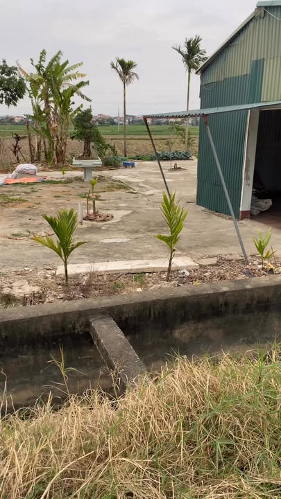 Đất nền Xã Đồng Hưu, Huyện Yên Thế, 91m² giá 27 tỷ - Cơ hội đầu tư tuyệt vời!