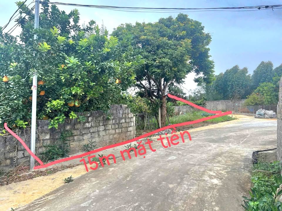 Lô đất thổ cư 300m² tại Đại Giáp - Đường to, ô tô vào tận - Giá hợp lý