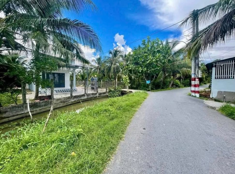 Nhà cấp 4 cho thuê tại Đường Đìa Lá, Huyện Bình Đại, 529m² - View kênh thoáng mát!