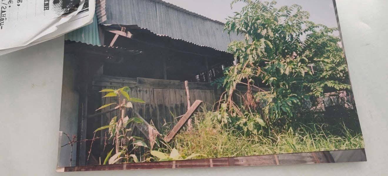 Đất thổ cư Ấp 1, Xã Bình Hưng, Huyện Bình Chánh 80m² giá 1.2 tỷ - Cơ hội đầu tư hấp dẫn!