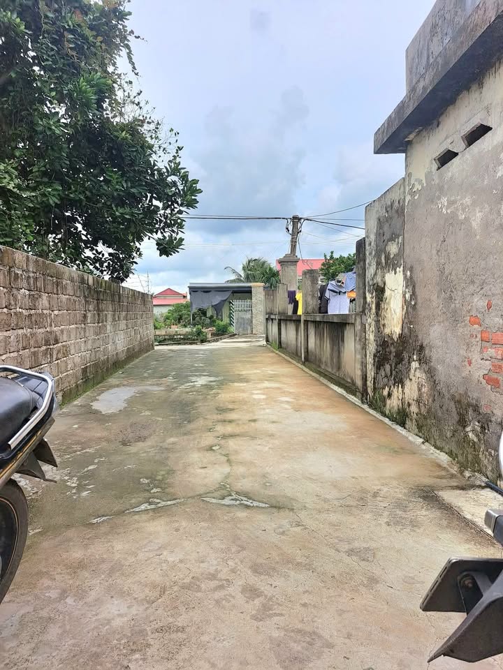 Đất nền Thị trấn Vĩnh Bảo 100m² giá 580 triệu - Sẵn sàng xây dựng ngay!