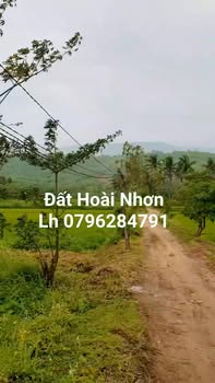 Đất nền Phường Hoài Hảo 90m² giá 300 triệu - Ô tô vào tận đất!