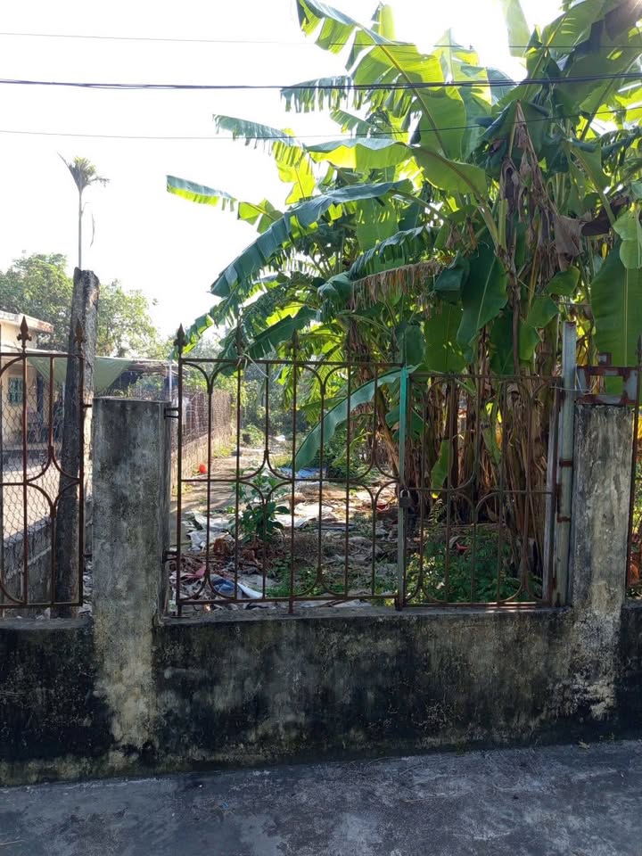 Đất nền Xã Hồng Dụ, Huyện Ninh Giang 152m² - Bán gấp, giá thương lượng!