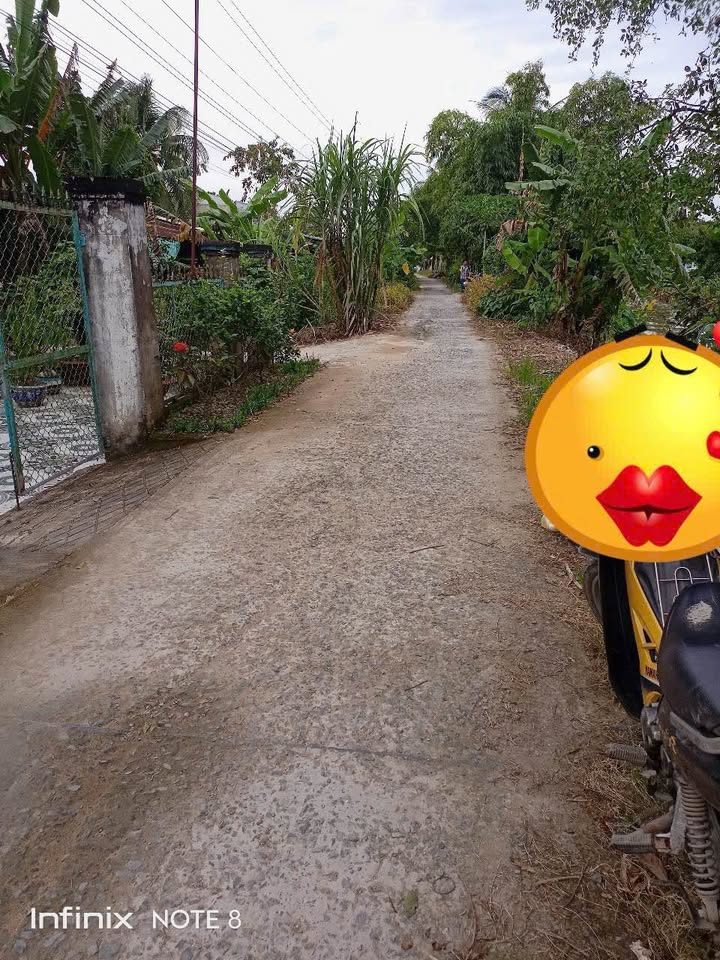 Đất nền Trường Long, Huyện Phong Điền, 450m² giá 850 triệu - Cơ hội đầu tư tuyệt vời!