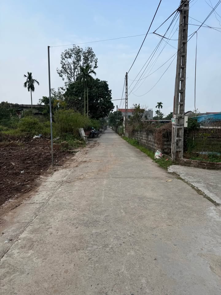 Đất nền 80m² tại Trại Diền, Huyện Phú Xuyên chỉ 3 tỷ - Cơ hội đầu tư hấp dẫn!