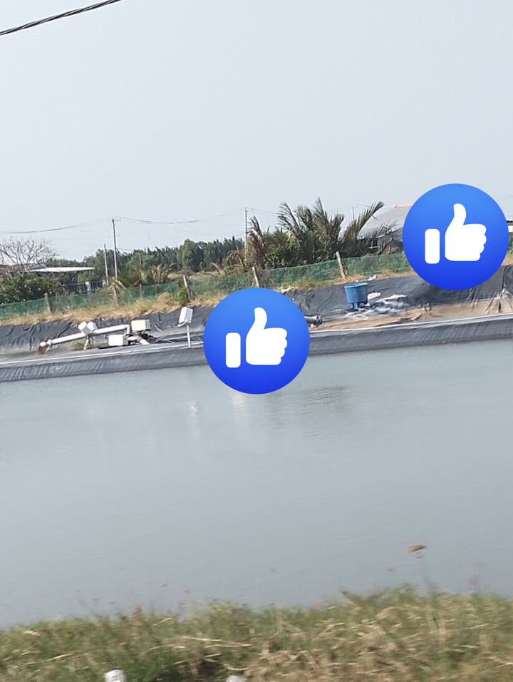 Đất nông nghiệp 40.000m² tại Ấp Bà Nhì, Xã Đôn Châu - Cơ hội đầu tư tuyệt vời!