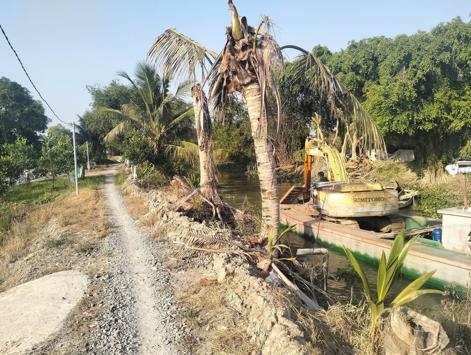 Đất vườn sầu riêng Hậu Mỹ Bắc A 10.000m² giá 3.8 tỷ - Đầu tư sinh lời ngay!