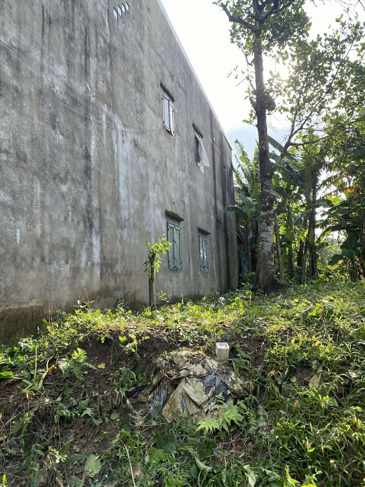 Đất nền Nghĩa Kỳ, Tư Nghĩa 115m² giá chỉ 6xx triệu - Cơ hội đầu tư tuyệt vời!