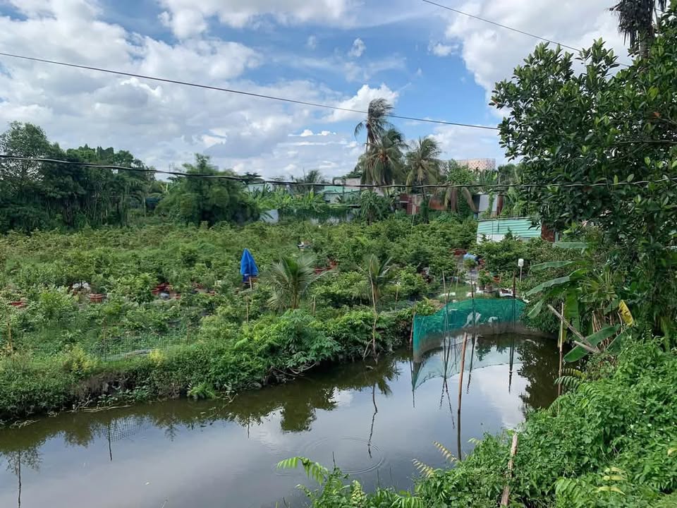 Đất nền Phường Tam Phú, Thủ Đức 2400m² giá 17.52 tỷ - Cơ hội đầu tư tuyệt vời!