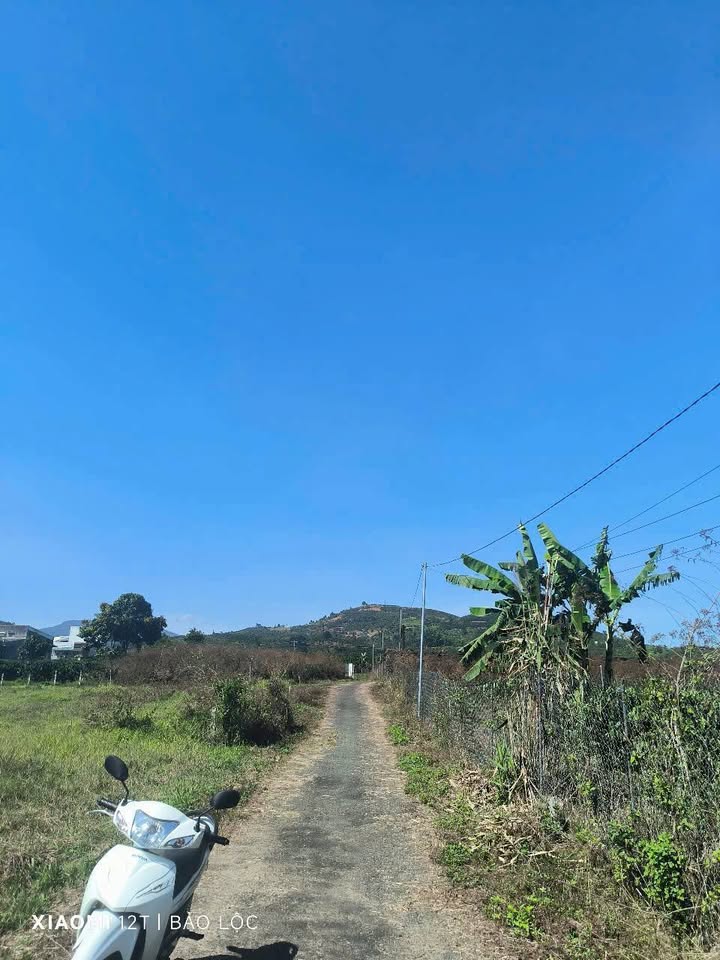 Đất thổ cư Lộc Châu, Bảo Lộc 360m² giá 1.1 tỷ - Bán gấp cho khách thiện chí!