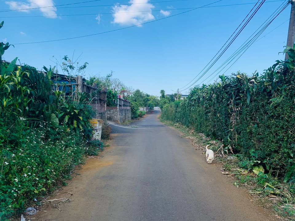 Lô đất 264m² hẻm 44A Nguyễn Tri Phương - Giá chỉ 2.5 tỷ, chính chủ bán gấp!