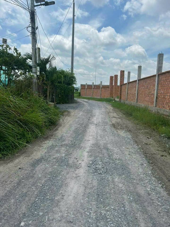 Đất thổ cư đường Phước Vĩnh, Cần Đước, Long An 980m² - Giá tốt chỉ 6.9 tỷ!