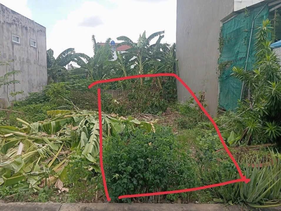 Đất nền thổ cư 70m² tại Bình Tâm, Bình Chánh - Giá chỉ 950 triệu!