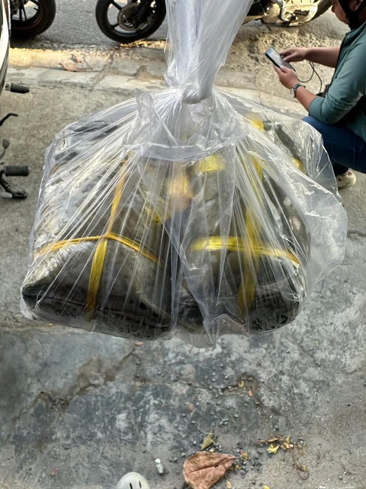 Đất CLN 3.000m² Huyện Bắc Bình - Giá chỉ 3 tỷ, cơ hội không thể bỏ lỡ!