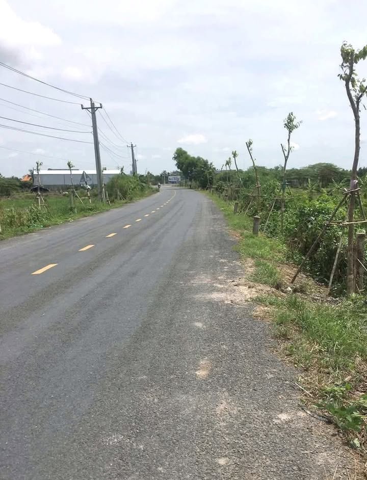 Đất mặt tiền Tuyến Tránh 868B, Cai Lậy - 2500m², giá chỉ 10.5 tỷ!