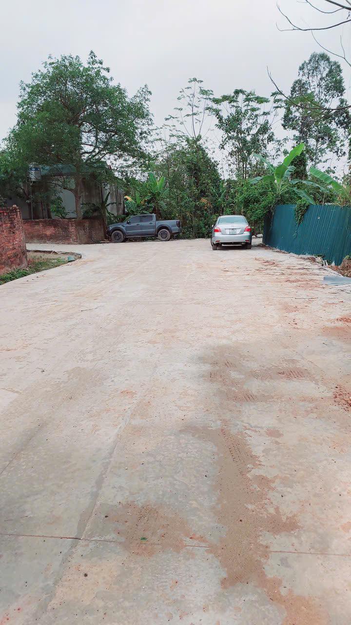 Đất nền mặt tiền đường Nguyễn Du, TP Việt Trì, 75m² - Cơ hội đầu tư tuyệt vời!