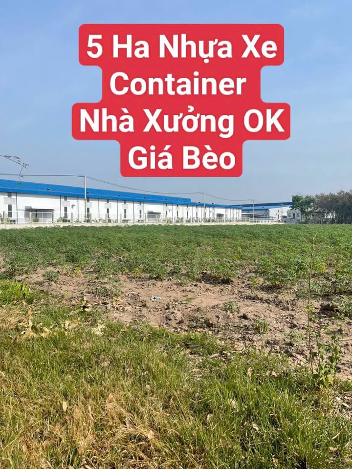 Đất nông nghiệp 5 Hecta tại Vĩnh Hòa, Phú Giáo - Giá 40 tỷ, Mặt tiền 45m