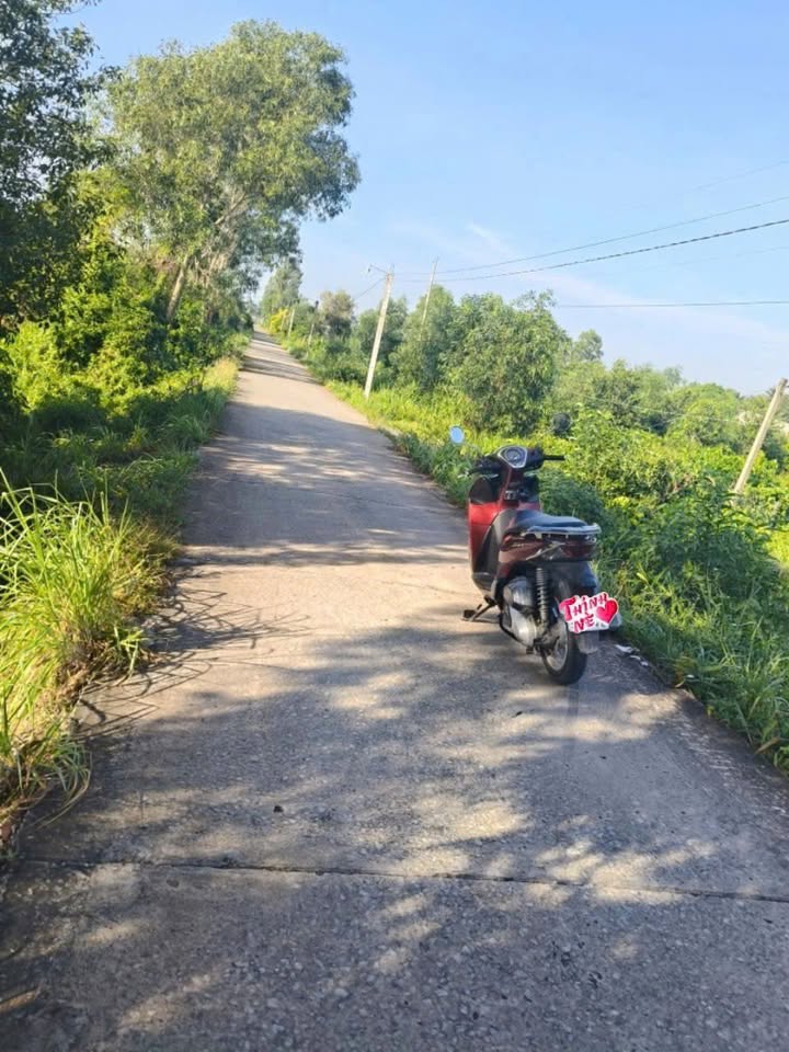 FrontHouse tại ấp 7/10 Lương Hòa, Bến Lức, 300m² giá 1.25 tỷ - Mặt tiền kinh doanh lý tưởng!