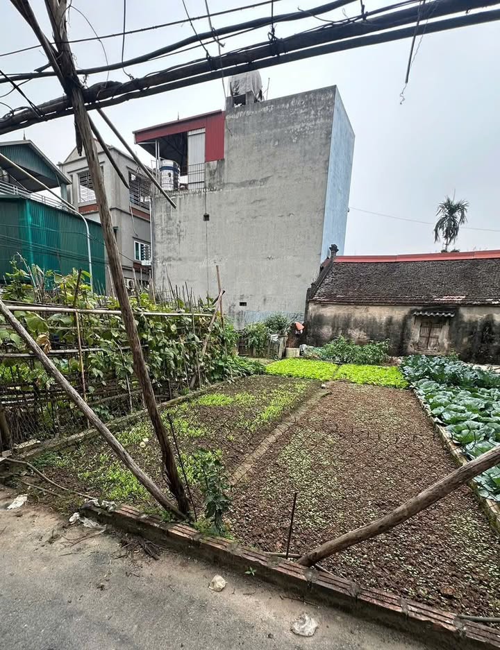 Đất thổ cư tại Trạm Trôi, Hoài Đức 40m² giá 4 tỷ - Ô tô vào tận nơi!