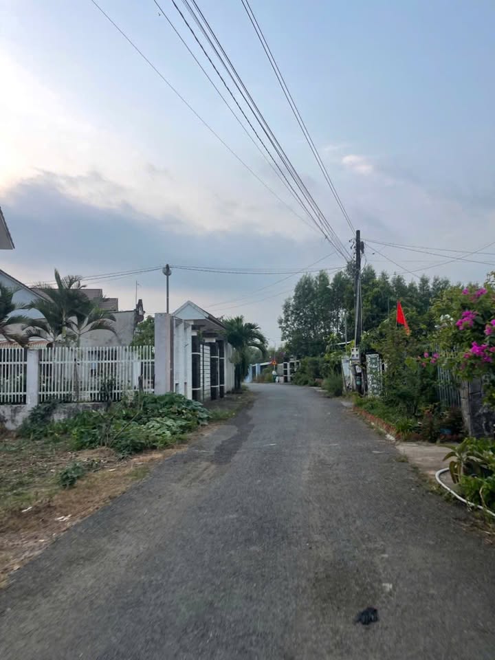 Đất nền mặt tiền An Viễn Trảng Bom 100m² giá 700 triệu - Đầu tư sinh lời ngay!