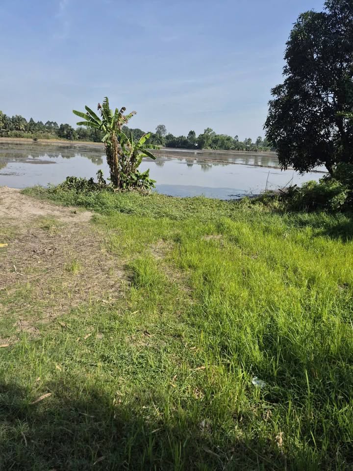 Đất nền Tân Lợi, Giục Tượng 441m² giá chỉ 1.89 tỷ - Sổ hồng chính chủ!