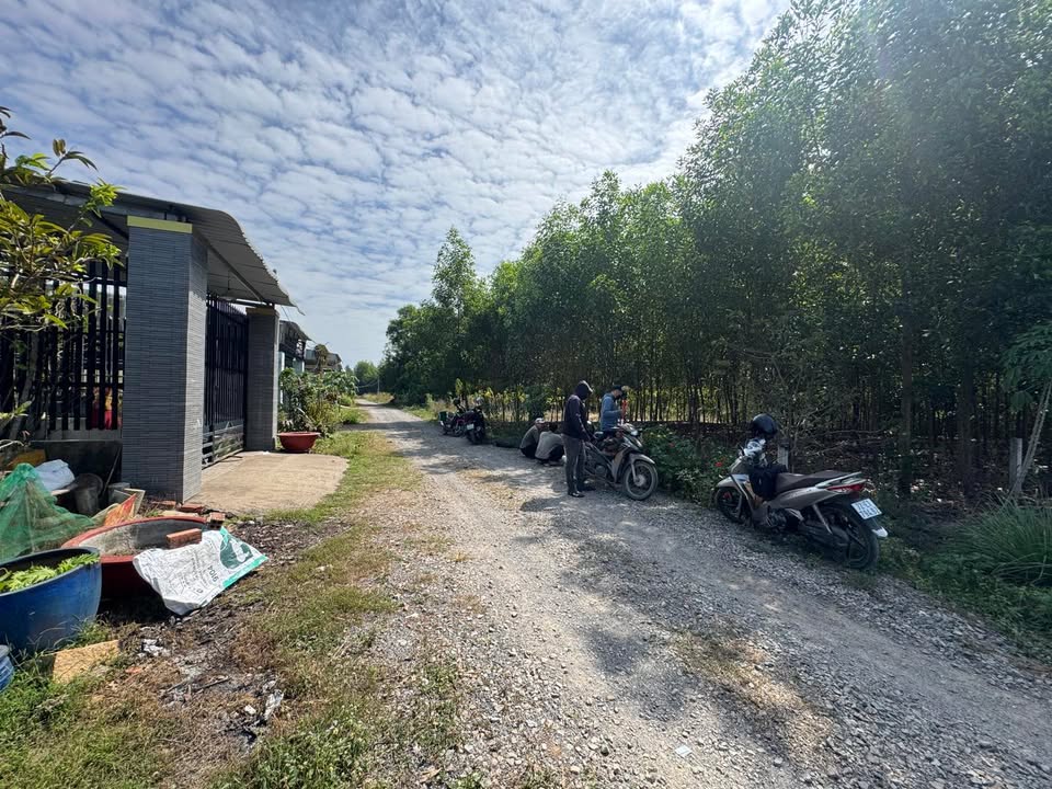 Đất nền Phường Hắc Dịch 145m² giá 300 triệu - Sổ hồng chính chủ!