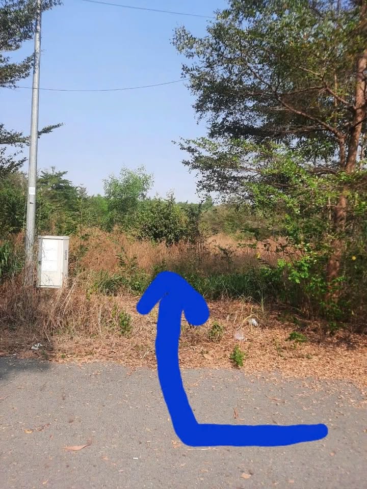 Đất nền 85m² Lý Thị Chứng, Phú Hòa Đông, Củ Chi - Sổ hồng riêng, giá 1.65 tỷ!