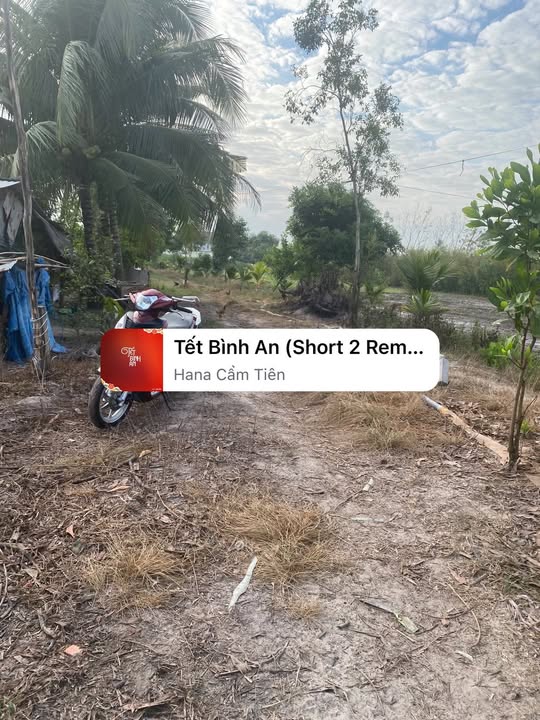 Đất thổ cư 70.000m² tại bầu Dưng, xã Thạnh Bình, Tân Biên - Giá thỏa thuận!