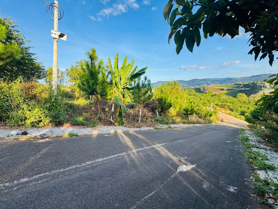 Đất đẹp View Triệu Mây Mê Linh 735m² giá 2 tỷ - Sổ hồng riêng, vị trí hiếm có!