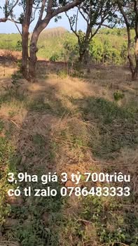 Đất nông nghiệp 3,9ha Xã Đồng Nai, Huyện Bù Đăng - Giá chỉ 3,7 tỷ!