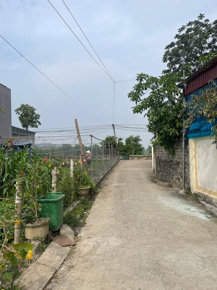 Đất nền khu phố Giáng, Vĩnh Lộc, Thanh Hóa 100m² giá 1 tỷ - Cơ hội đầu tư tuyệt vời!